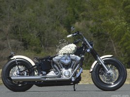 HARLEY TWIN-CAM SOFTAIL 2-1 SLASH MUFFLER HARLEY TWIN-CAM SOFTAIL 2-1 SLASH MUFFLER
