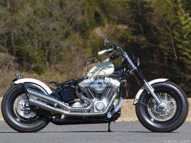 HARLEY TWIN-CAM SOFTAIL DUEL PERFORMANCE MUFFLER HARLEY TWIN-CAM SOFTAIL DUEL PERFORMANCE MUFFLER