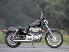 HARLEY XLH883/XLH1200 DUAL CIGAR PIPE HARLEY XLH883/XLH1200 DUAL CIGAR PIPE