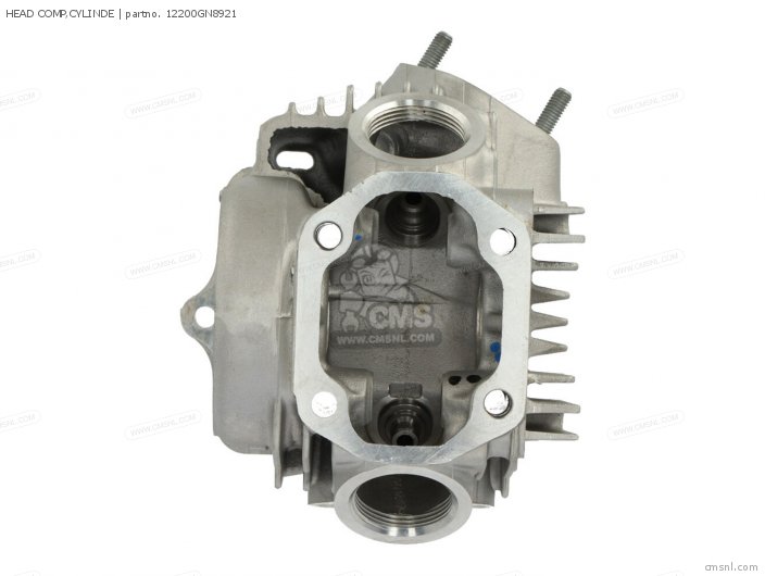 Honda HEAD COMP,CYLINDE 12200GN8921