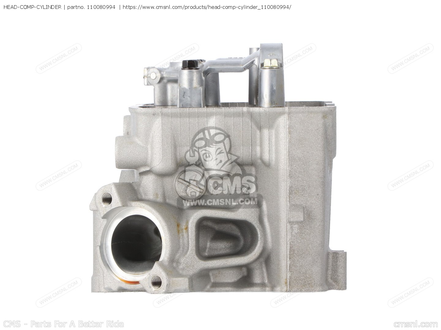 110080994: HEAD-COMP-CYLINDER Kawasaki - buy the 11008-0994
