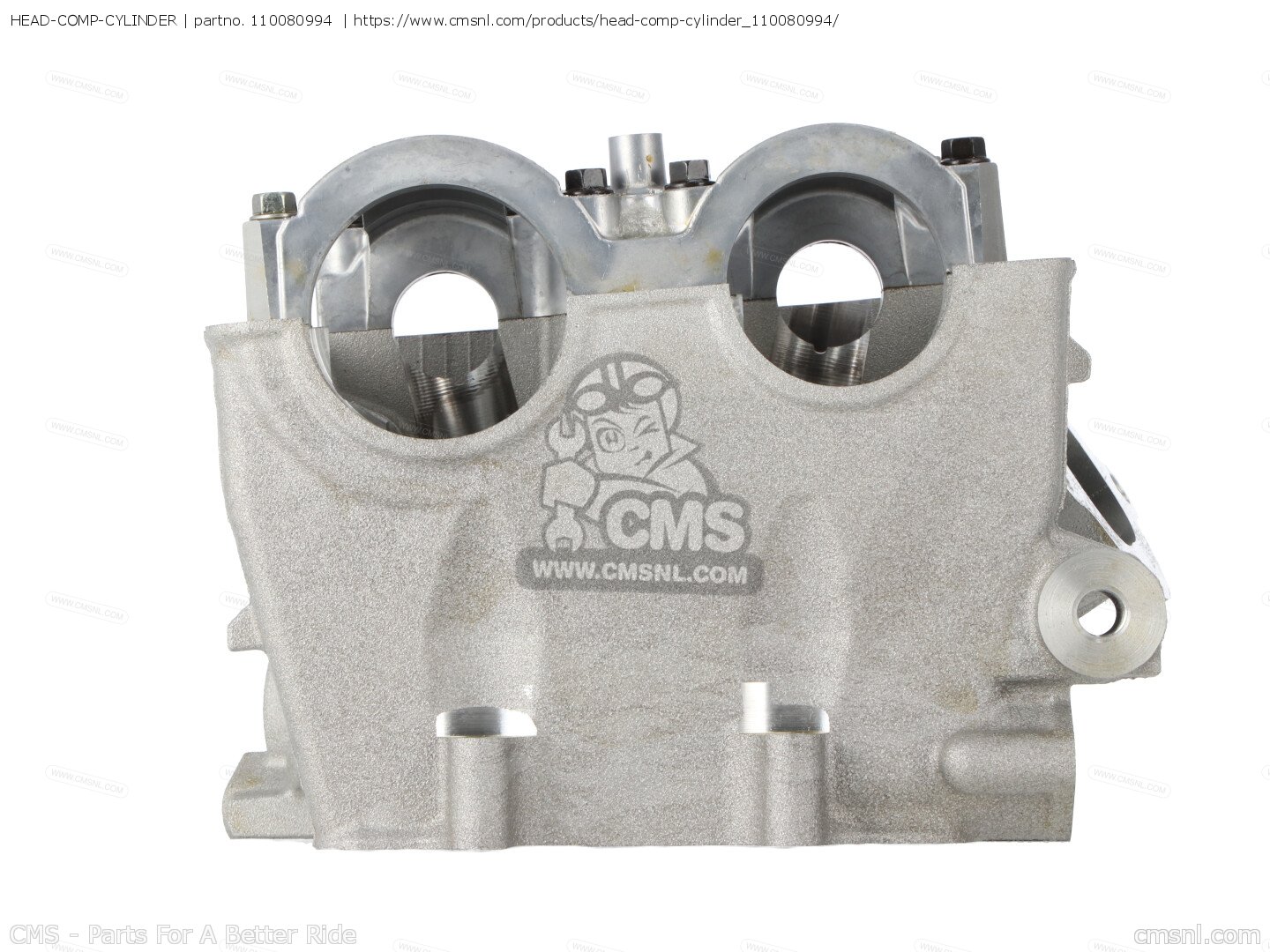 110080994: HEAD-COMP-CYLINDER Kawasaki - buy the 11008-0994