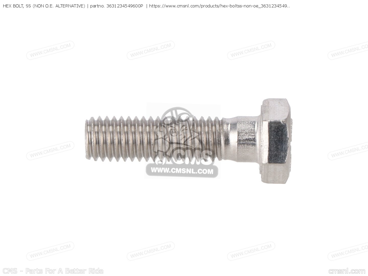 3631234549600p Hex Bolt Ss Non Oe Alternative Alternative Parts