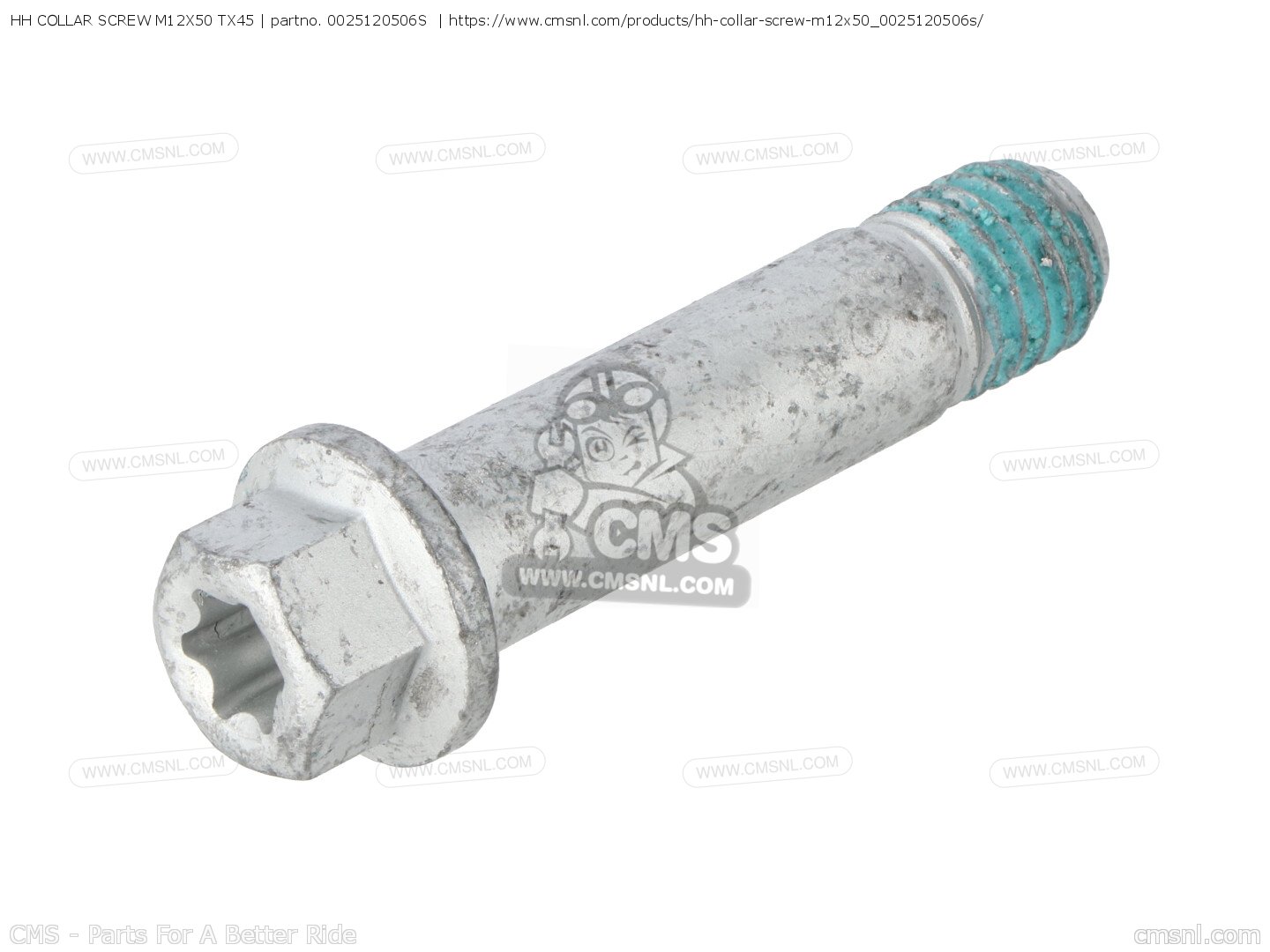 HH Collar Screw M12x50 - 0025120506S HH Collar Screw M12x50 - 0025120506S
