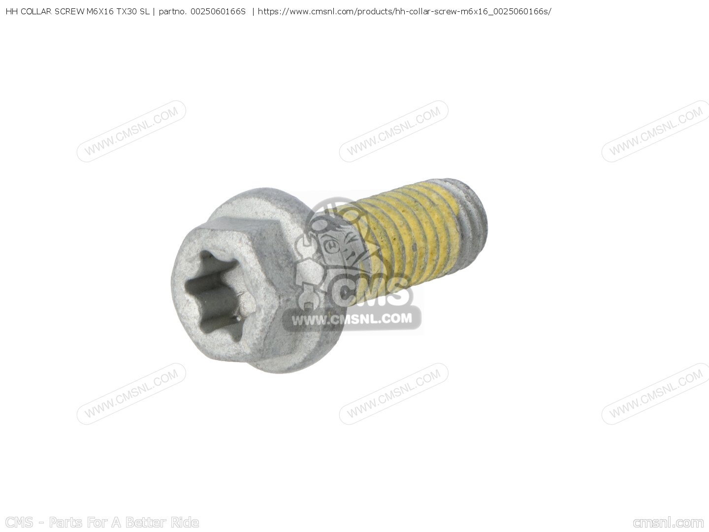 Gasket - 78036041000 Gasket - 78036041000