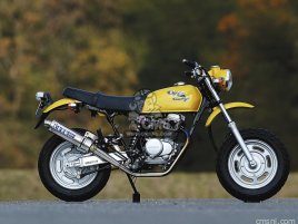 Amazon.co.jp: APE ENGINE TUNING MASTER BOOK HONDA APE 50 APE