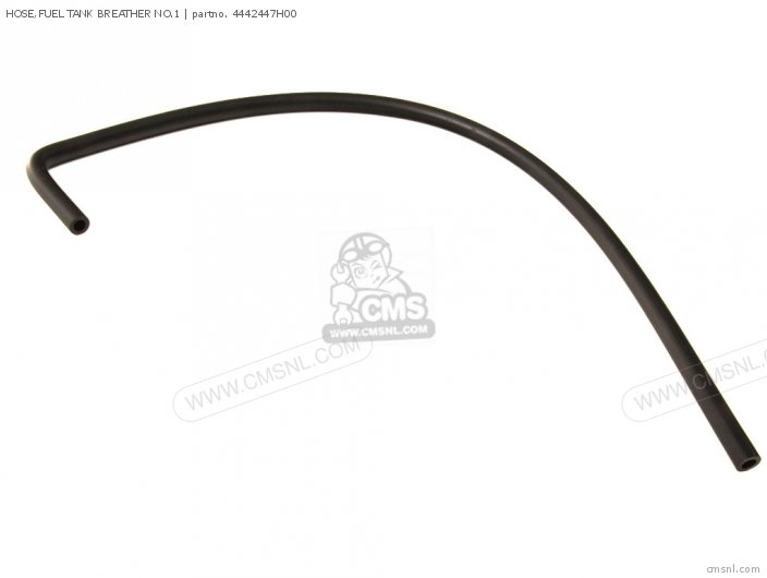 4442447H00
