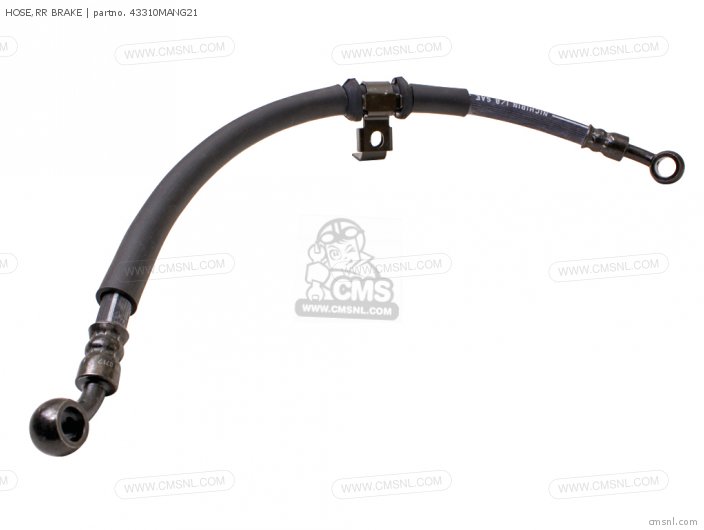 HOSE,RR BRAKE HOSE,RR BRAKE