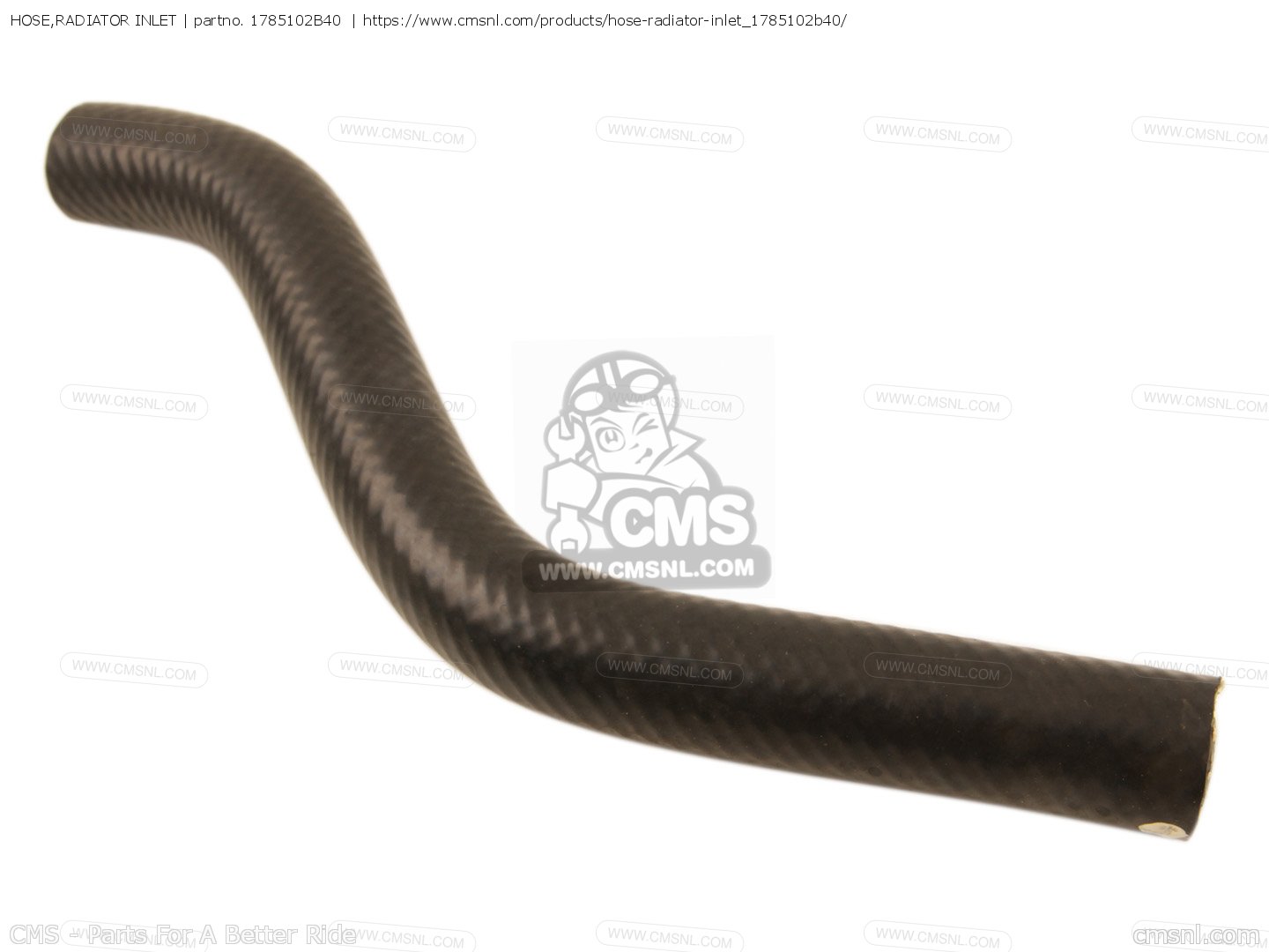 HOSE,RADIATOR INLET for RM80 1997 (V) USA (E03) order at CMSNL