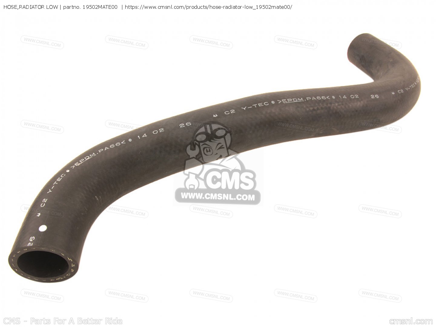 19502MATE00 Hose,radiator Low Honda buy the 19502MATE00 at CMSNL