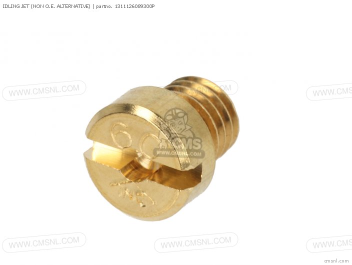 1311126089300P Idling Jet (non O.e. Alternative) Alternative Parts