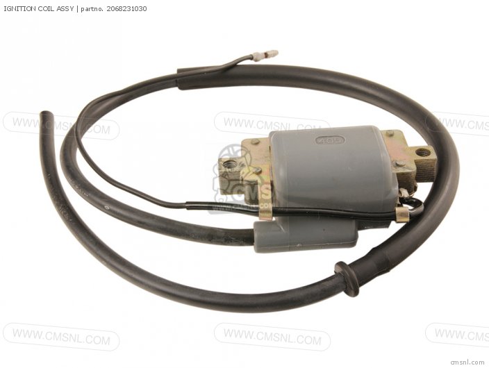 Yamaha IGNITION COIL ASSY 2068231030