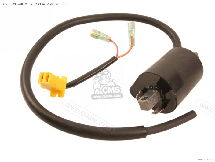 Yamaha IGNITION COIL ASSY 2GV8231021