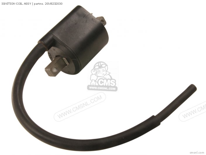 Gv Ignition Coil Assy Yamaha Buy The Gv At Cmsnl