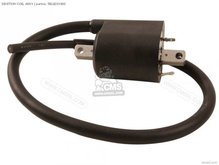 Yamaha IGNITION COIL ASSY 5EL8231000
