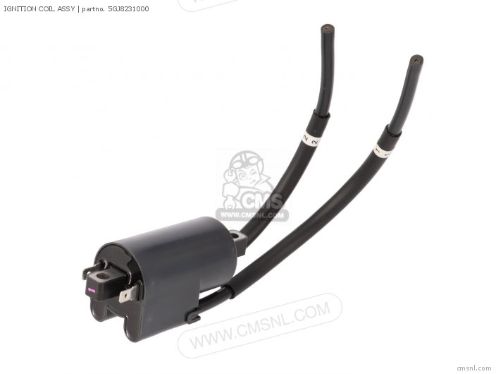 Yamaha IGNITION COIL ASSY 5GJ8231000