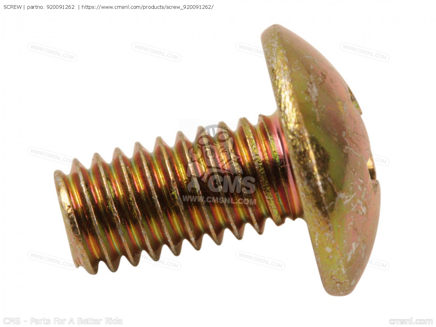 ネジをKawasakiに - CMSNLで注文