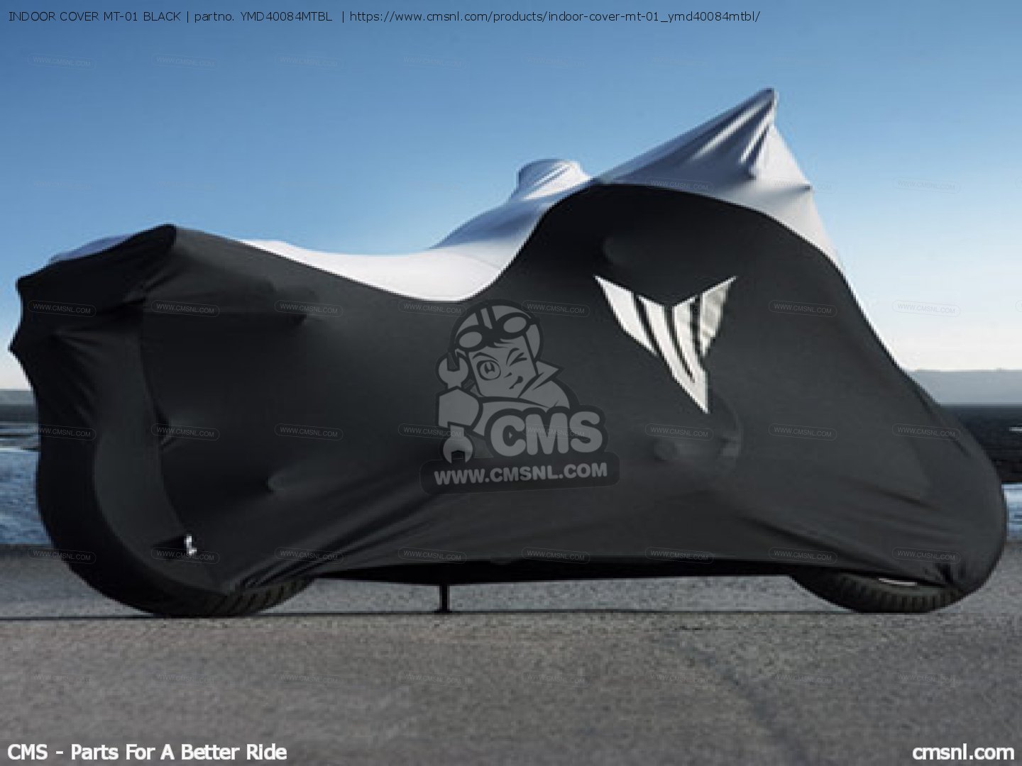 mt 15 cover