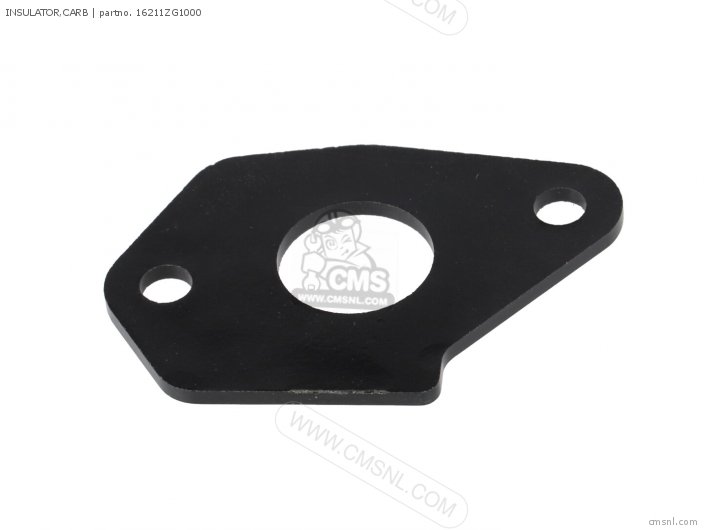 16211ZG1000