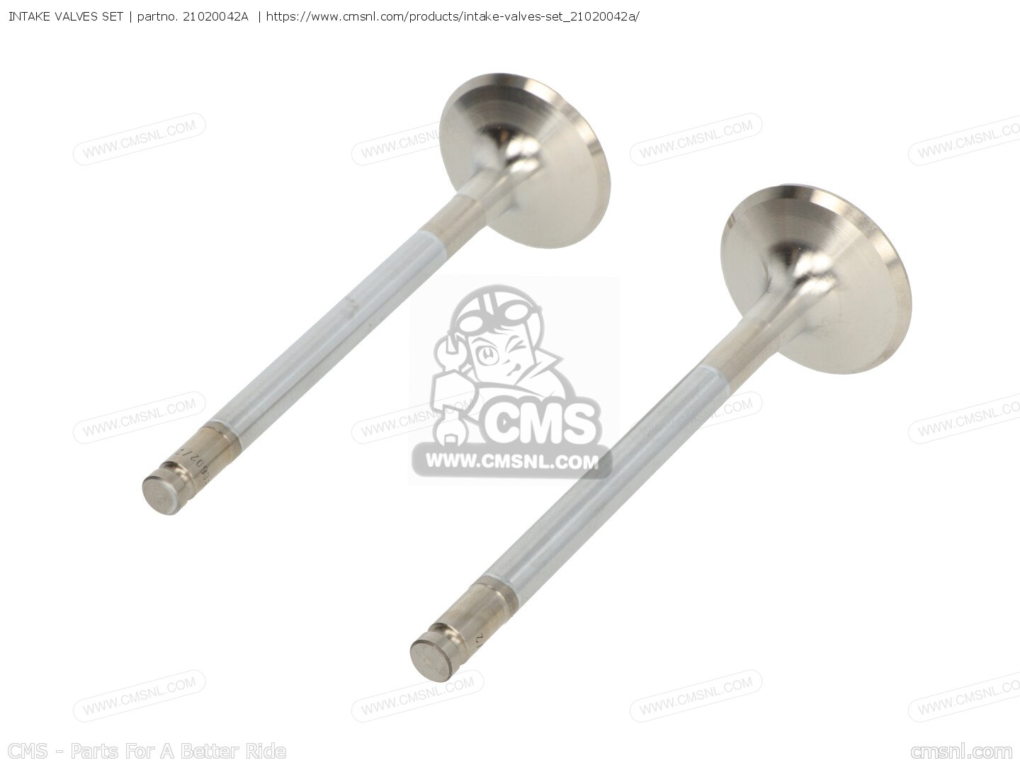 21020042A Intake Valves Set Ducati buy the 21020042A at CMSNL