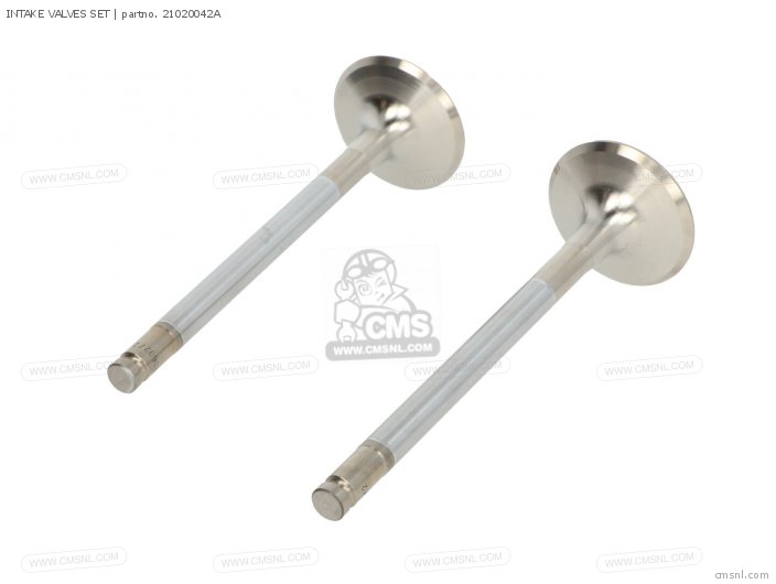 Ducati INTAKE VALVES SET 21020042A