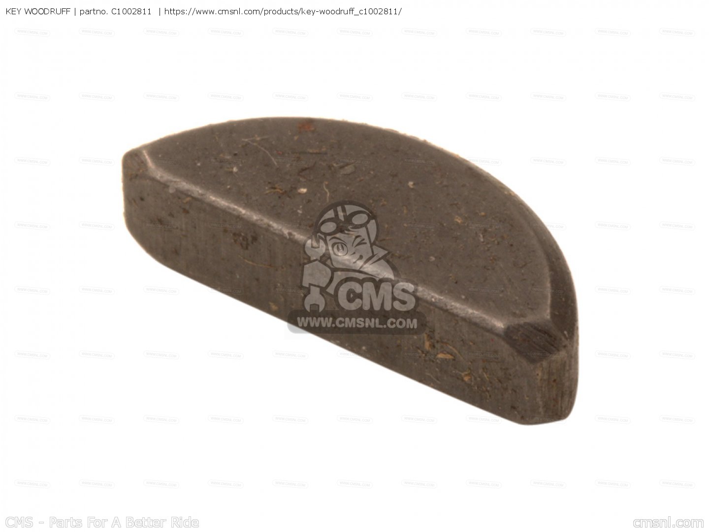 KEY WOODRUFF for CZ100 order at CMSNL