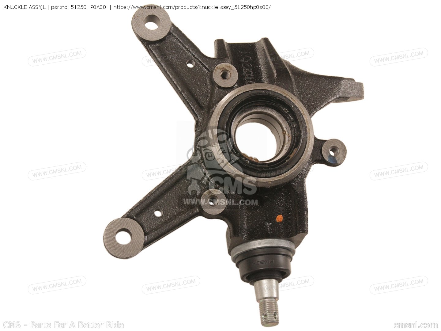 Amazon.com: WOOSTAR Drum Brake Shoe Replacement for Roketa