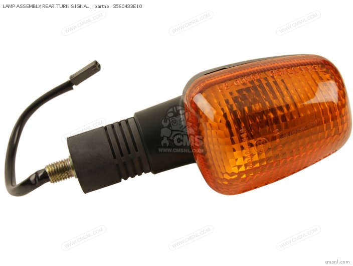 Lamp Assembly, Rear Turn Signal photo