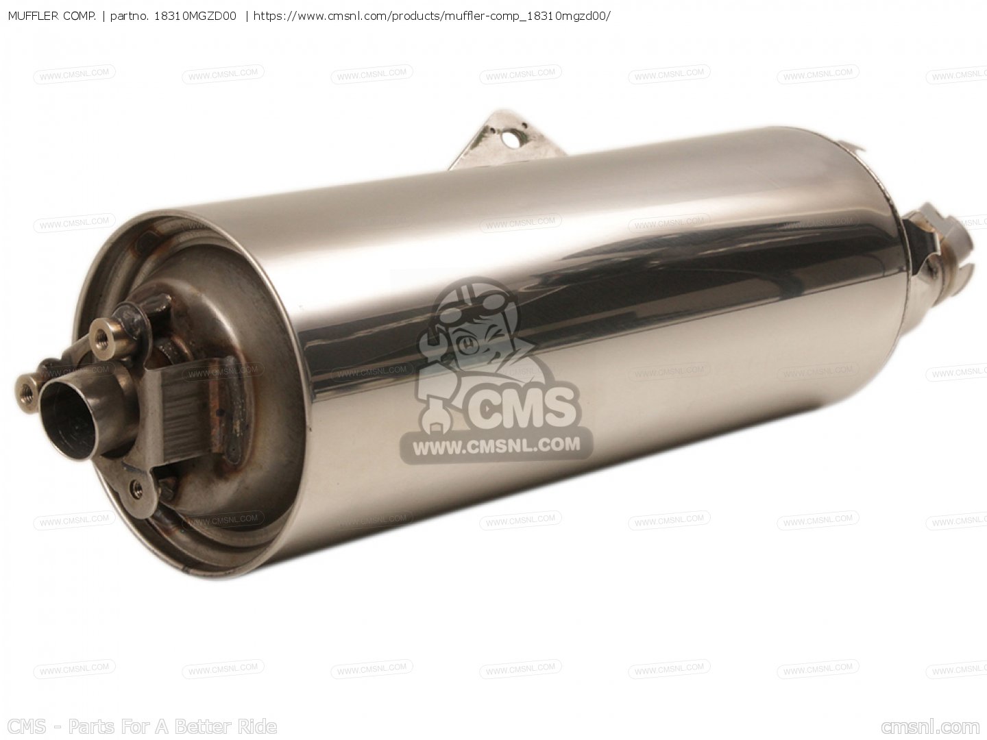 神様とやさい 神様とやさい 神様とやさい ミッシャル Michelin ZX