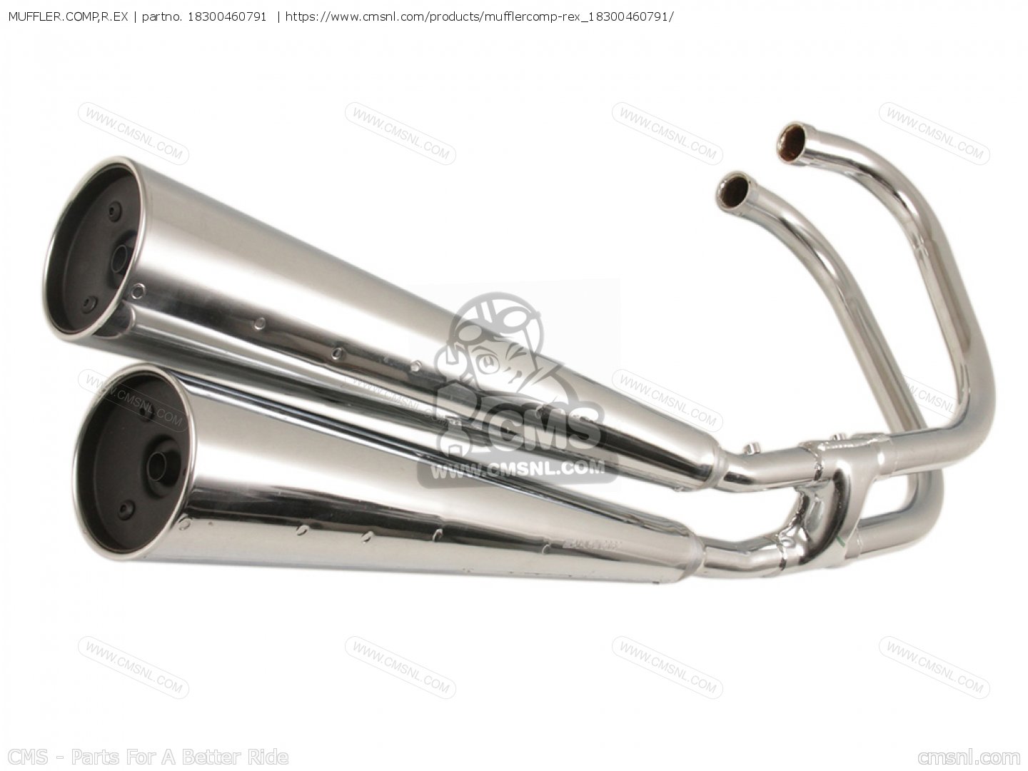 for CB650C 1981 (B) order at CMSNL