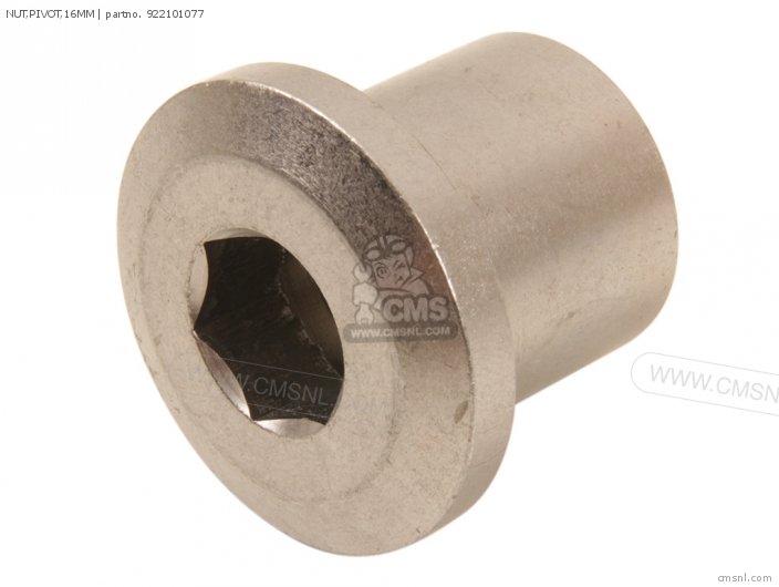 Kawasaki NUT,PIVOT,16MM 922101077