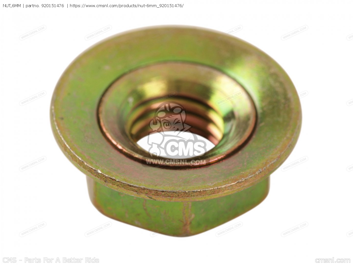 NUT,6MMをKawasakiに - CMSNLで注文