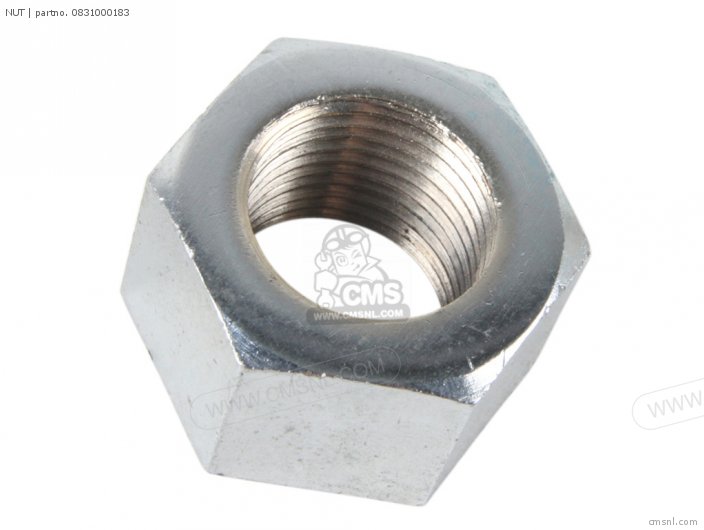 Nut photo