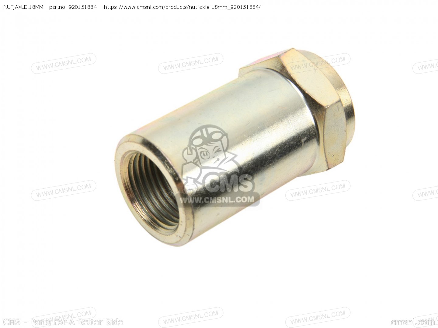 NUT,AXLE,18MM for KX500E6 1994 EUROPE AS order at CMSNL