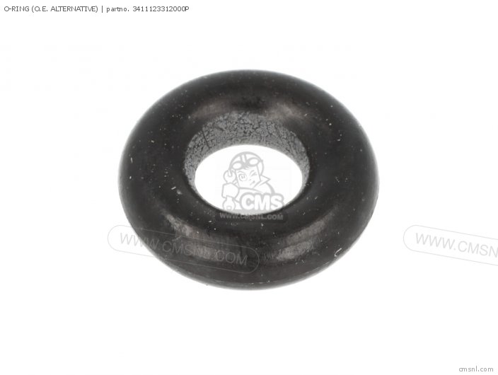 3411123312000P Oring (o.e. Alternative) Alternative Parts buy the