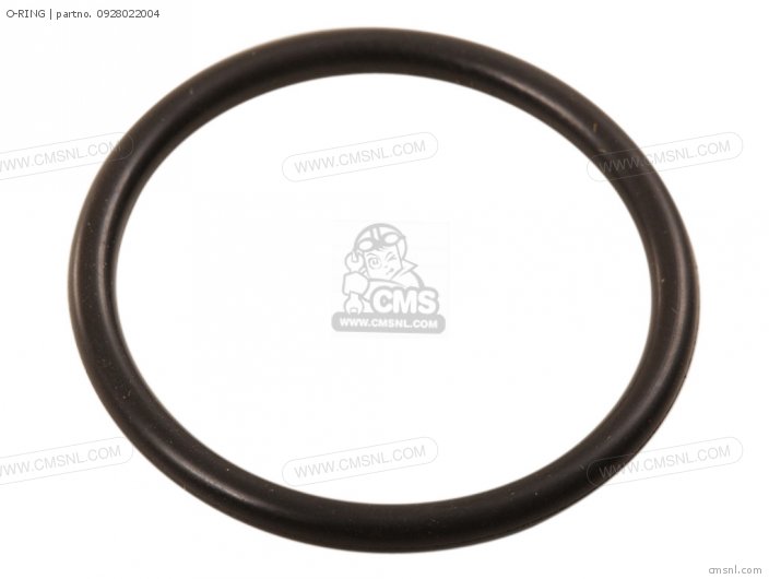 O-RING O-RING
