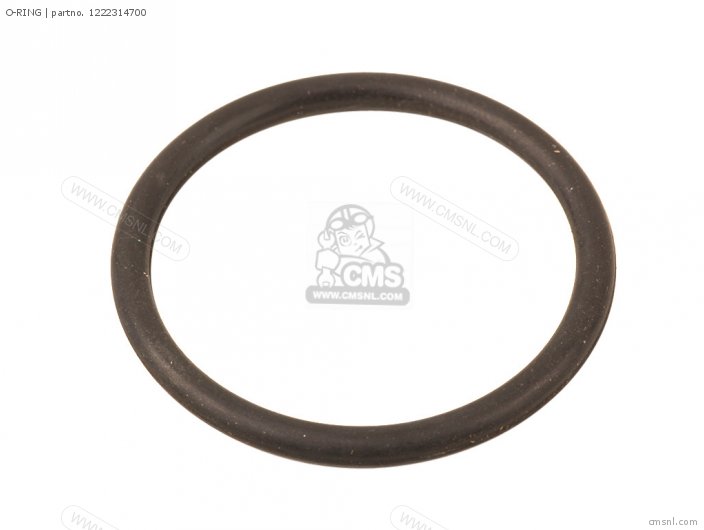 O-RING O-RING