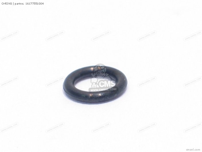 O-RING O-RING