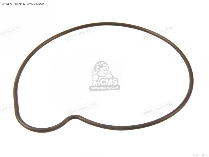O-RING O-RING