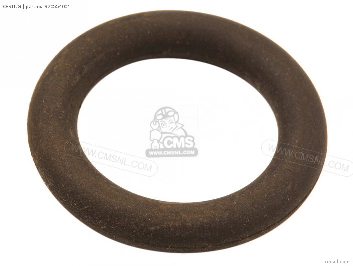 O-RING O-RING