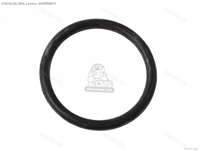 O Ring, Oil Seal photo