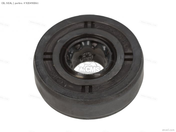 K920490061