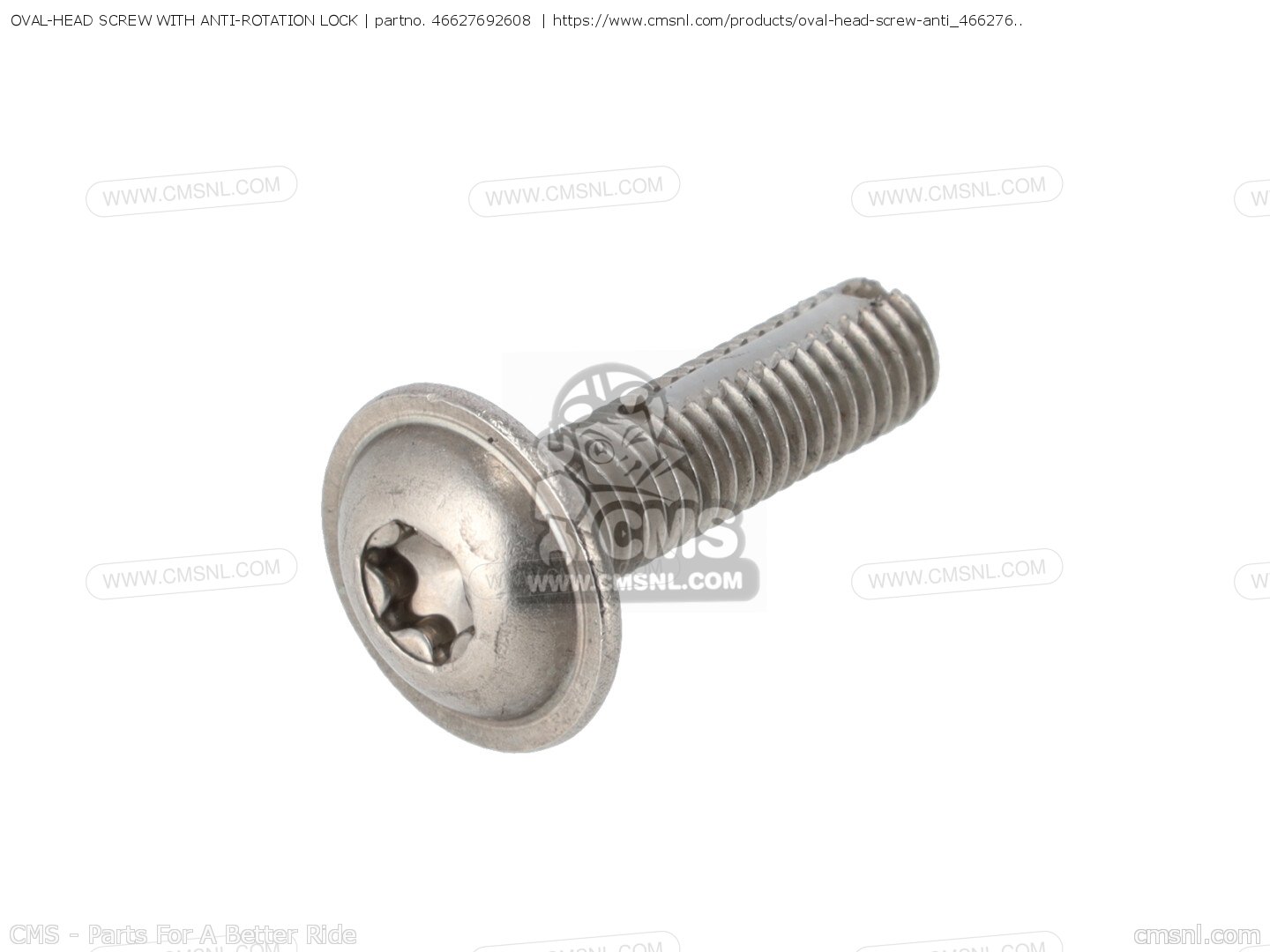 OVAL-HEAD SCREW WITH ANTI-ROTATION LOCK for BMW - order at CMSNL