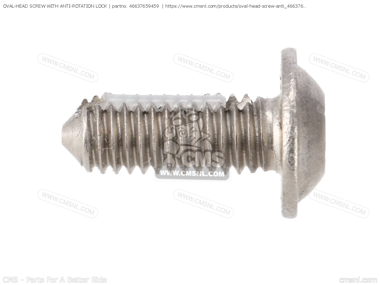 OVAL-HEAD SCREW WITH ANTI-ROTATION LOCK for BMW - order at CMSNL
