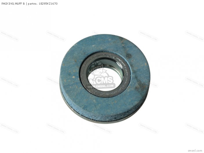 18295KZ1670