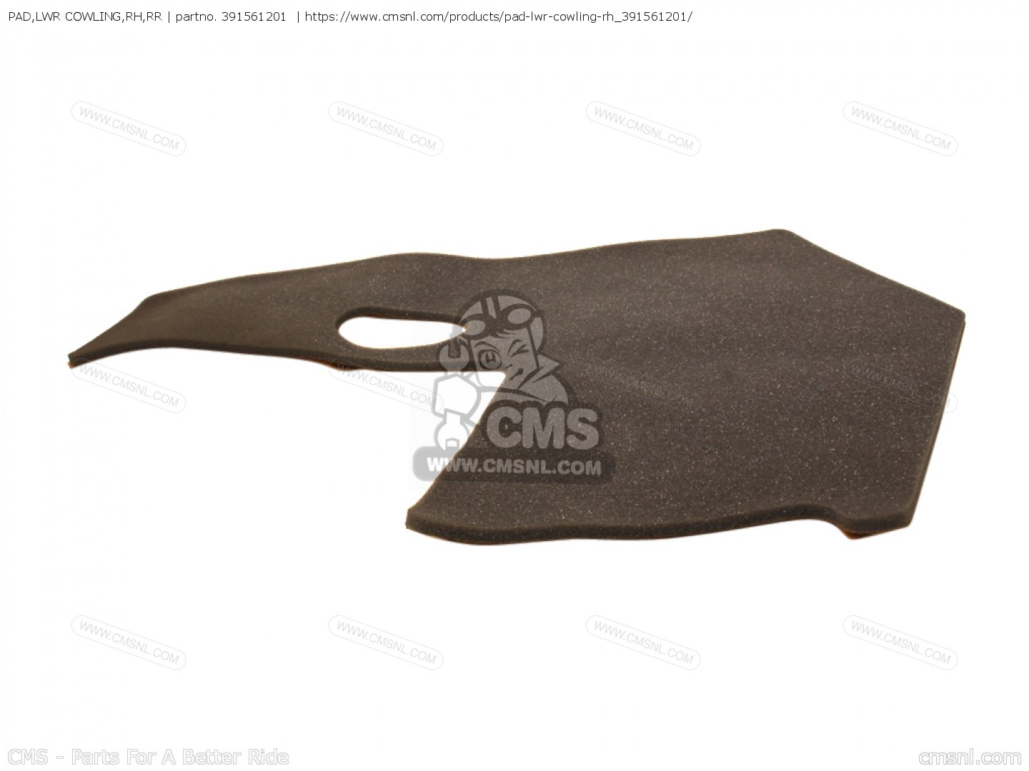 PAD,LWR COWLING,RH,RR for Kawasaki - order at CMSNL