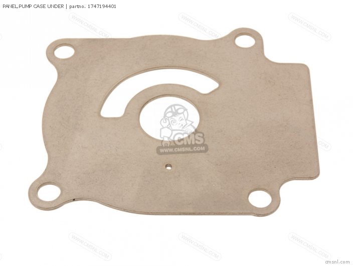 Suzuki PANEL,PUMP CASE UNDER 1747194401