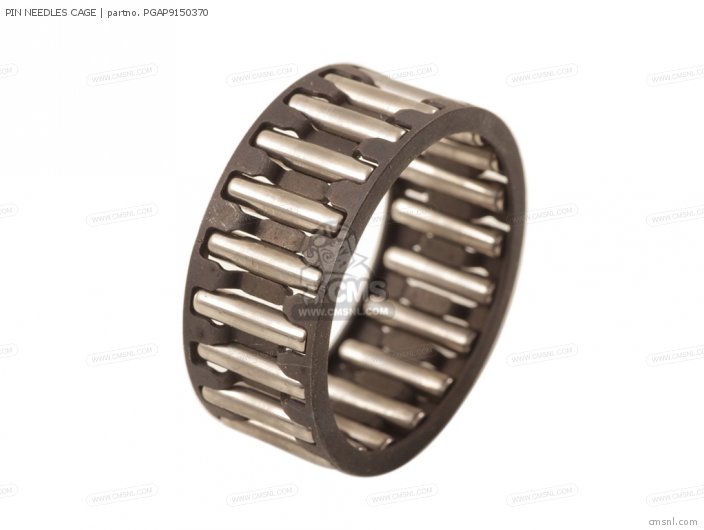 PIN NEEDLES CAGE PIN NEEDLES CAGE