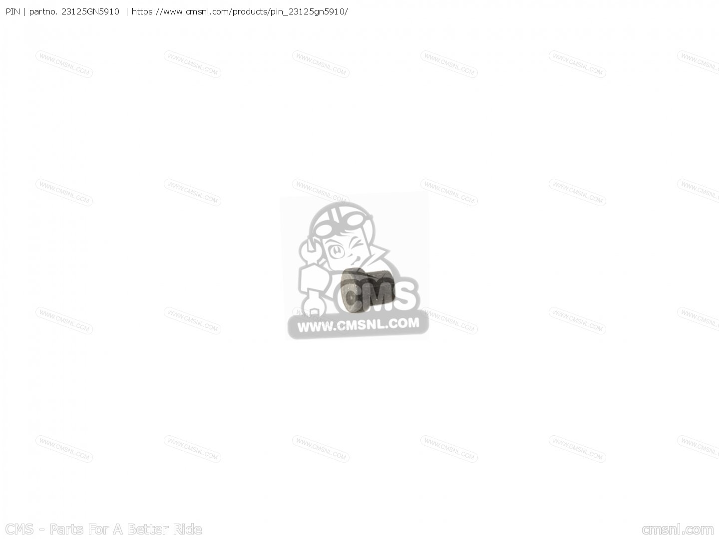 PIN for C100CM 1988 (J) JAPAN HA05000 order at CMSNL