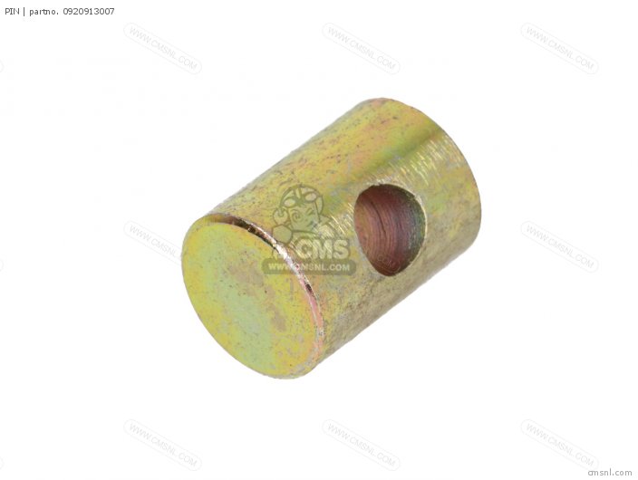 Suzuki PIN 0920913007 Suzuki PIN 0920913007